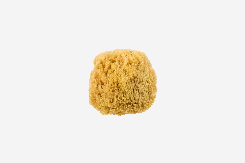 Naturschwamm classic