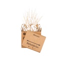 Bambu-Swab - natürliche Wattestäbchen